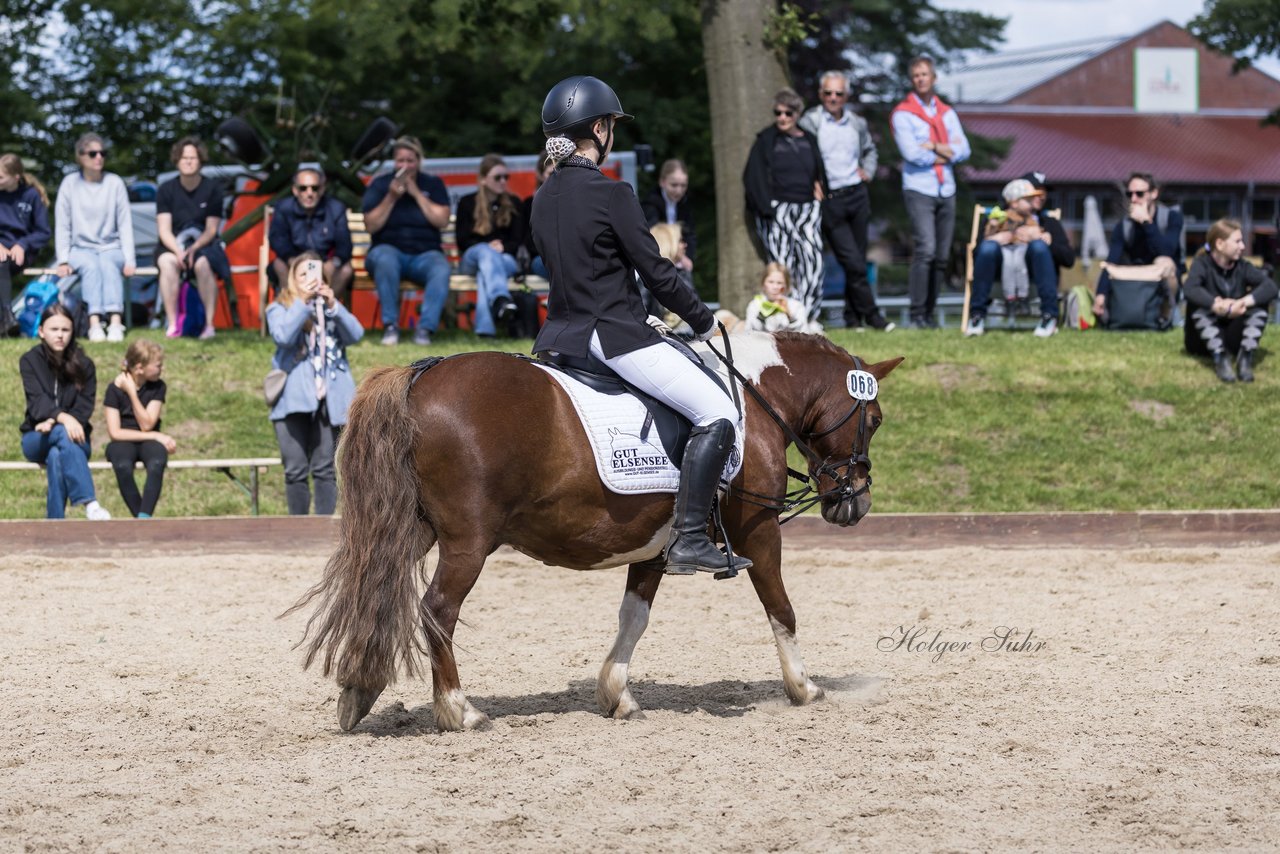 Bild 43 - Pony Akademie Turnier